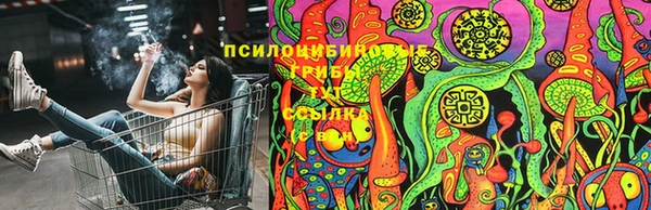 сатива Армянск