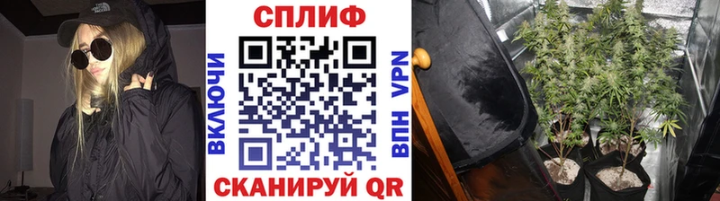 сайты даркнета официальный сайт Лихославль Бошки Шишки марихуана